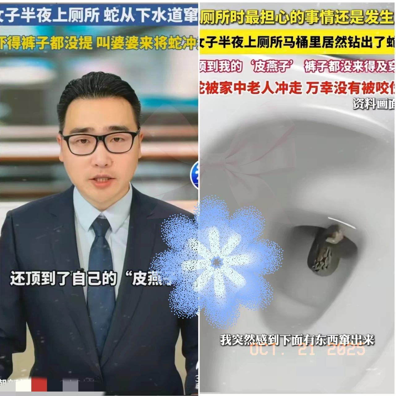 谁能想到上厕所也能遭遇“惊魂一刻”？

江苏无锡周女士深夜如厕，突然被不明物体顶