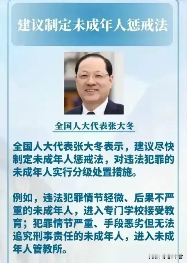 两会传来好消息！事关未成年人犯罪，网友们好评如潮。人大代表张大冬建议:尽快制定未