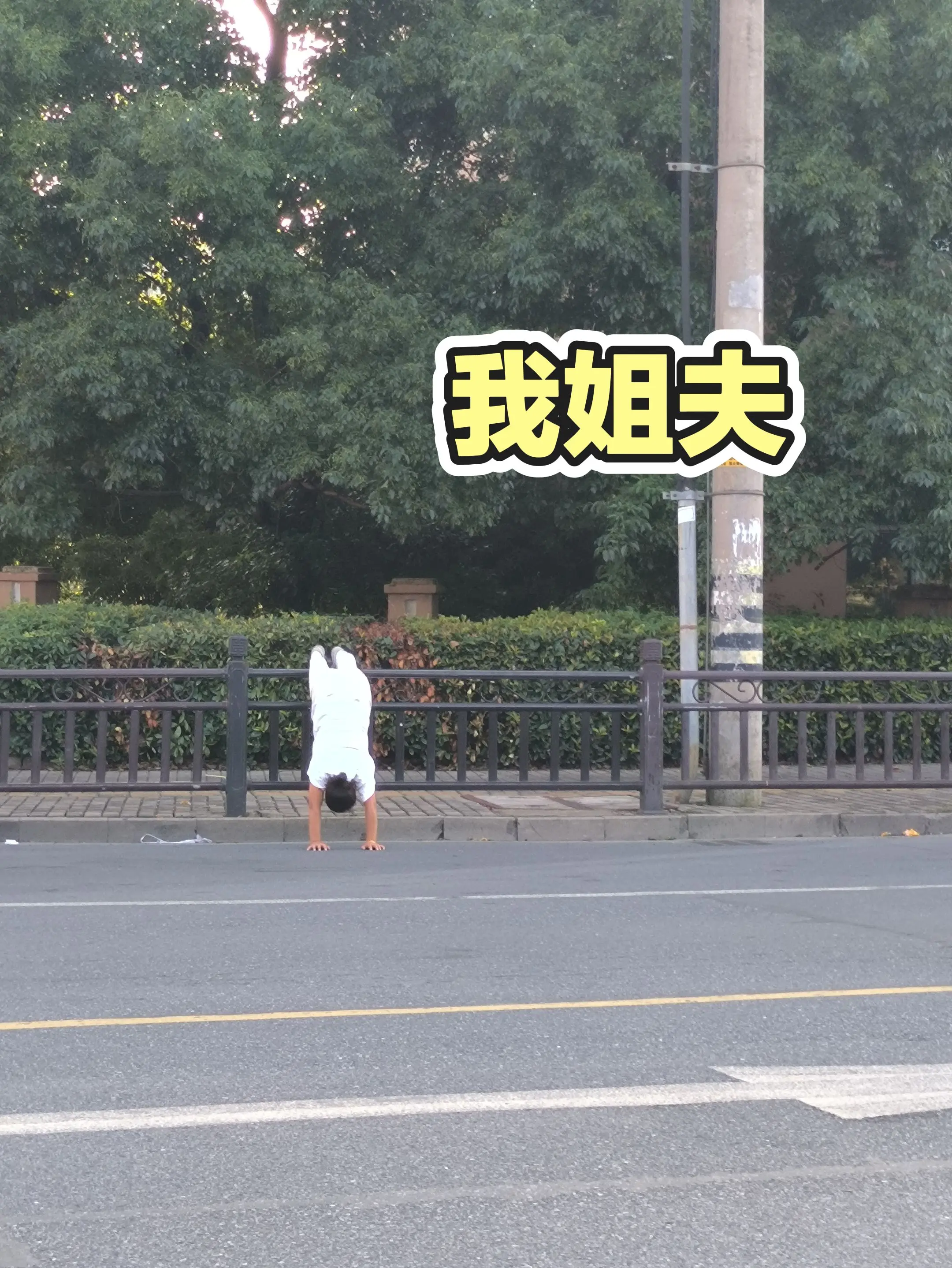每日分享