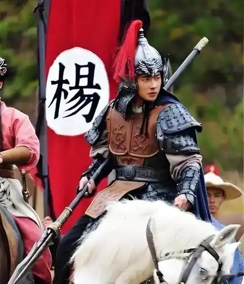 杨家将满门忠烈为国捐躯，为何北宋还是没能收复燕云十六州？

翻开《宋史》，杨家将