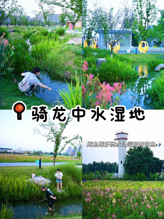 南门出发20min‼️超小众人少夏日宝藏遛娃地