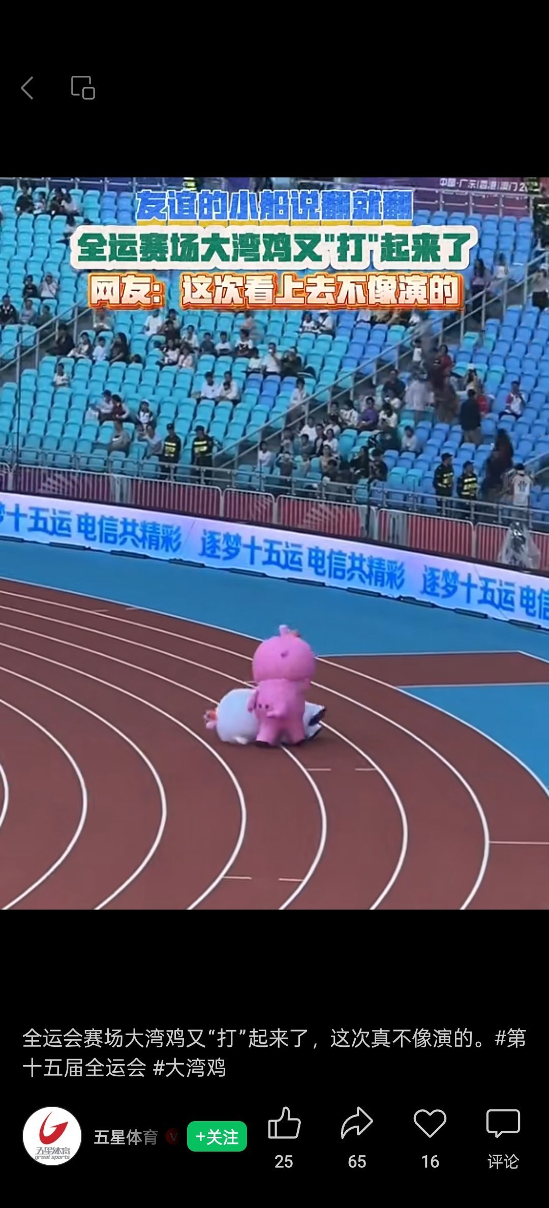 这些天全运会大家看了哪些比赛？听说乒乓球男单女单打得很精彩，不过我没空看，倒是四