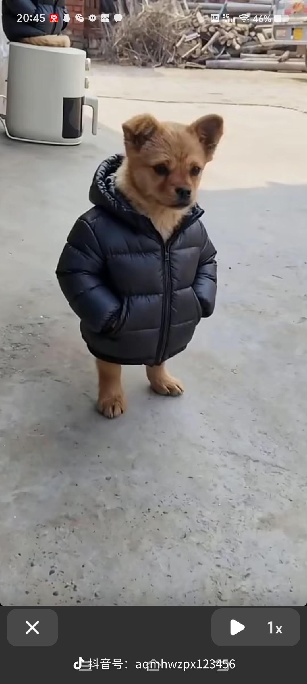 谁家的小孩，出门带钥匙设有？