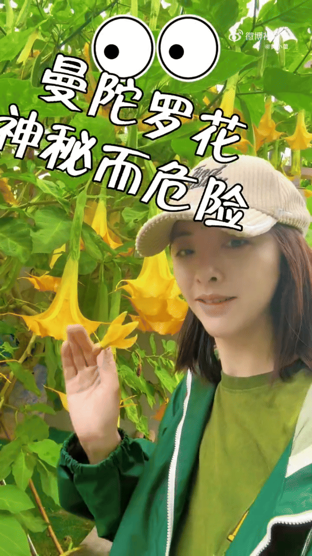 不管是生活明信片还是风景vlog，总能在的分享里看出姐对生活的热爱还有性格里的热