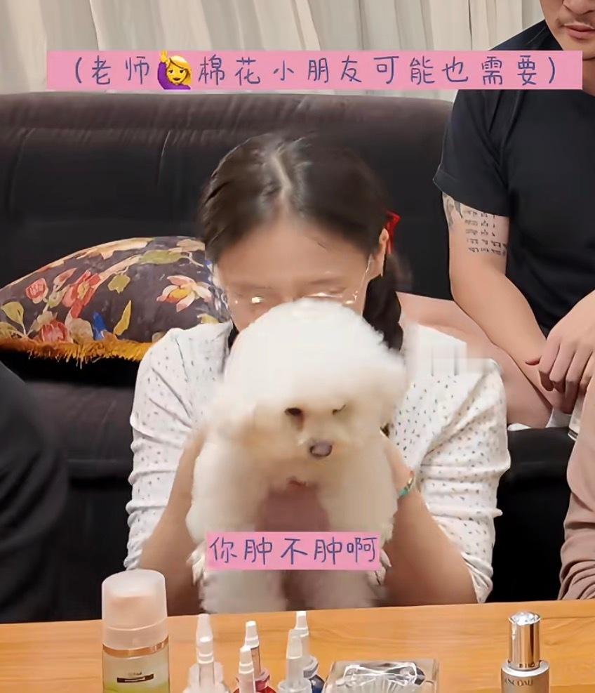 棉花好大一只哈哈哈哈 