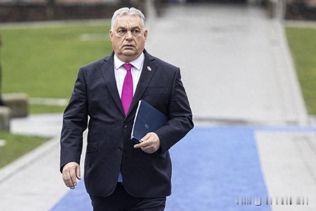 欧尔班准备逃离匈牙利，关联寡头向海外转移资产！匈牙利寡头欧尔班国际局势剪映欧