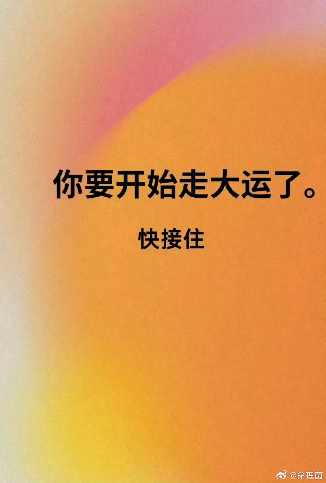 好运2026 今天开始你会大顺，接好运 