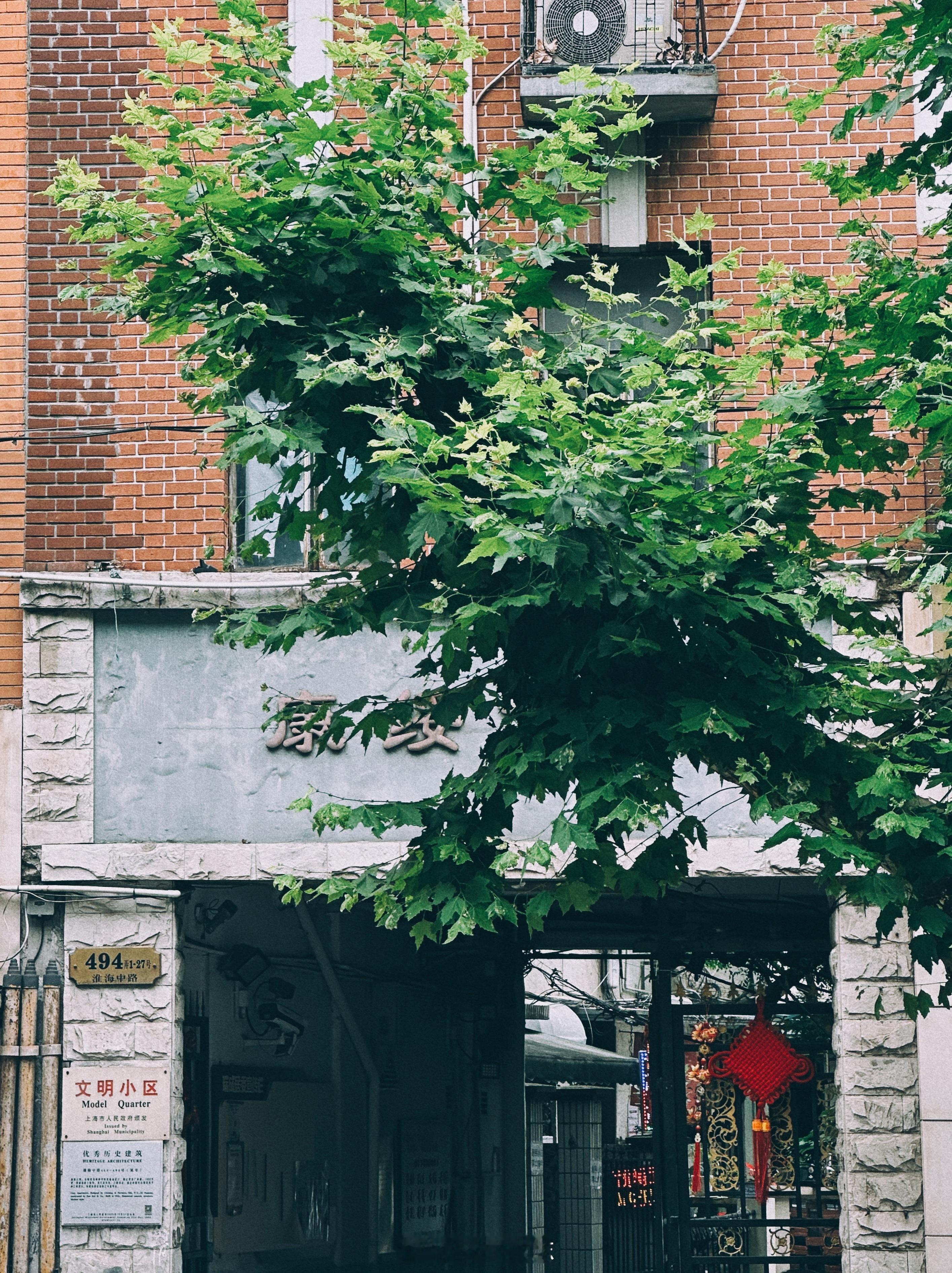 喜欢没道理可讲🌳🏠 