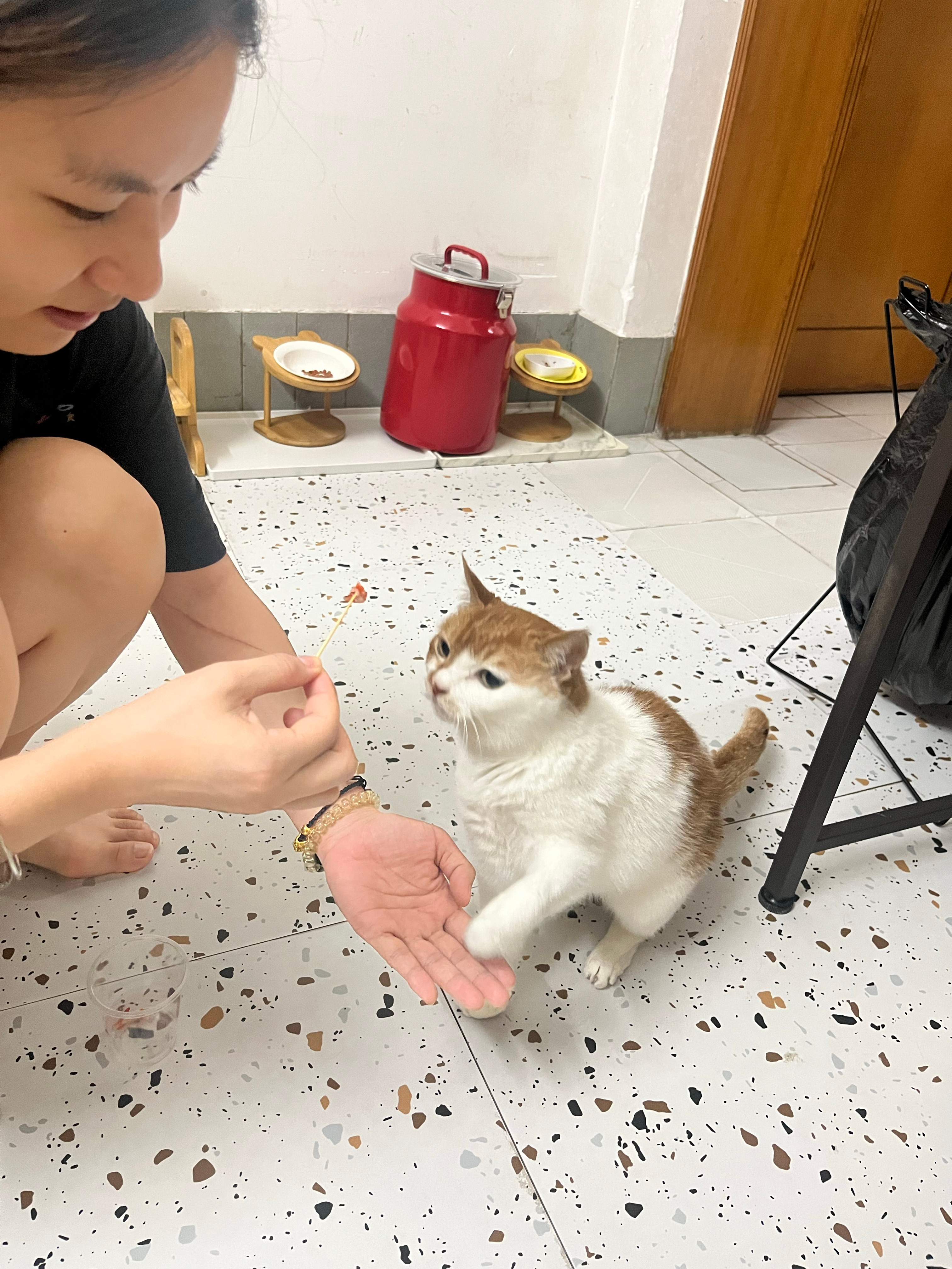 戏弄17岁老登mi 
