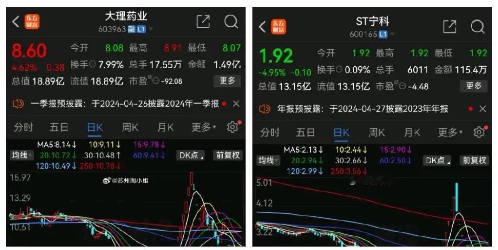 大理药业或被实施退市风险警示！

前有宁科生物，今有大理药业。

都是此前连续涨