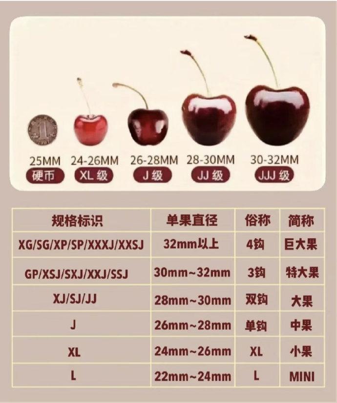 车厘子的“J”到底藏着什么猫腻？看懂这篇，再也不花冤枉钱！

“同样是车厘子，为