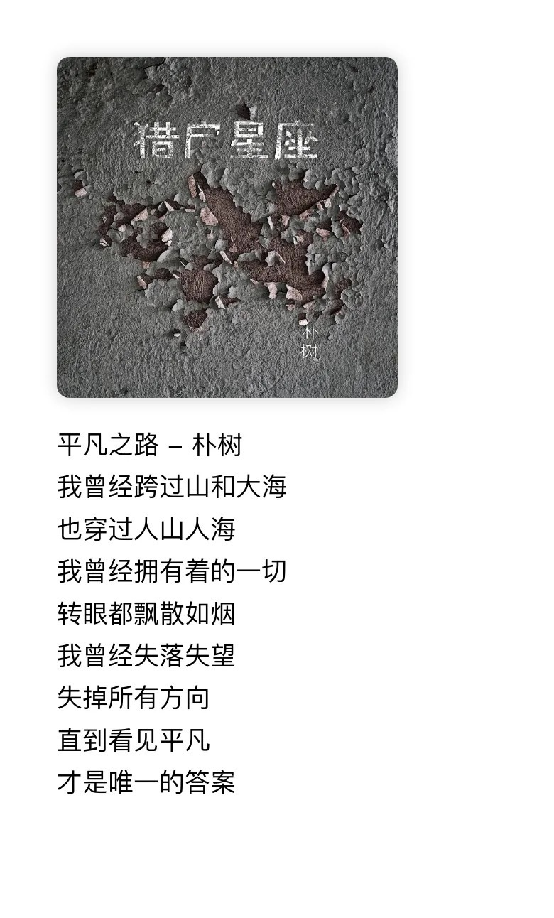 朴树受多少情伤写出来的歌“我是这耀眼的瞬间，是划过天边的刹那火焰”。《生如夏花》