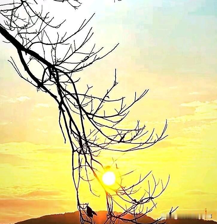 说实话，让你打分，你给苗京京打几分？

这段时间，想必大家也都有刷到，很多人都在