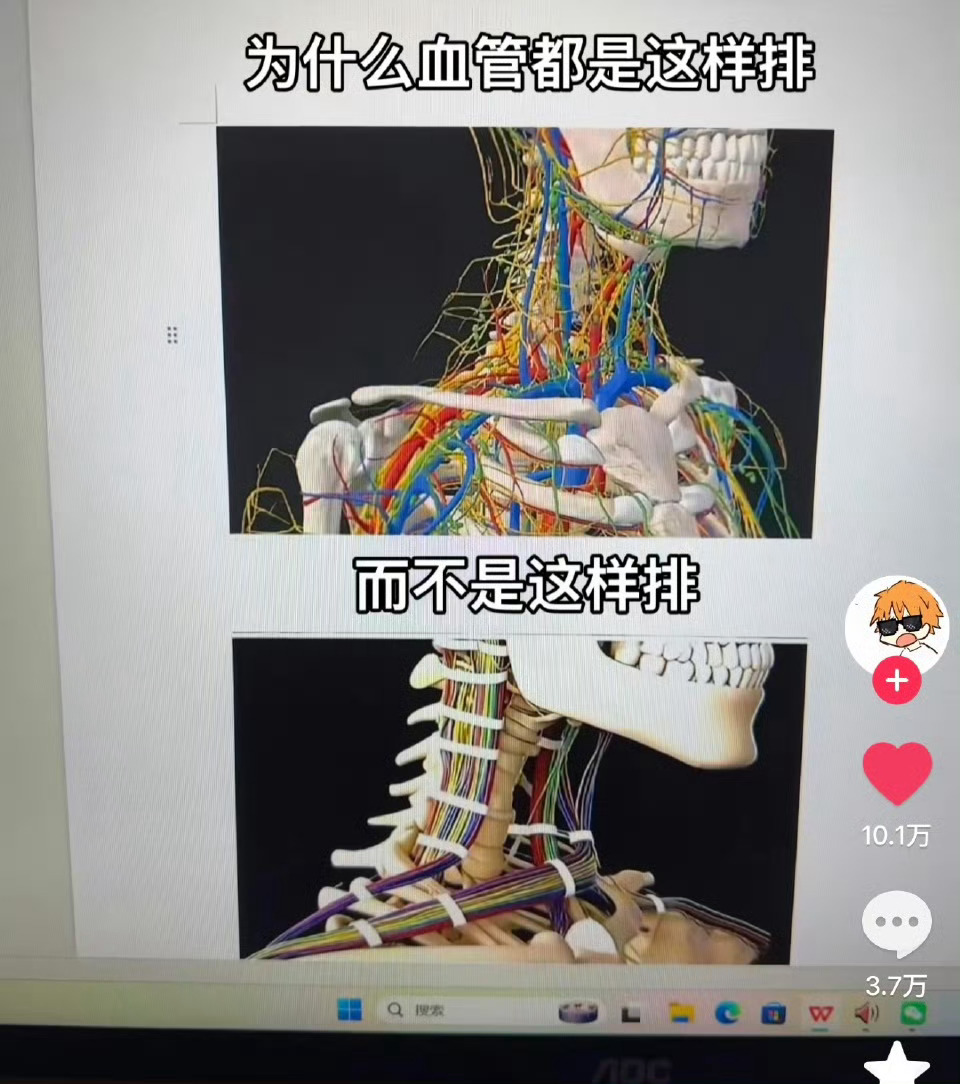 因为女娲不是一个好电工…… ​​​