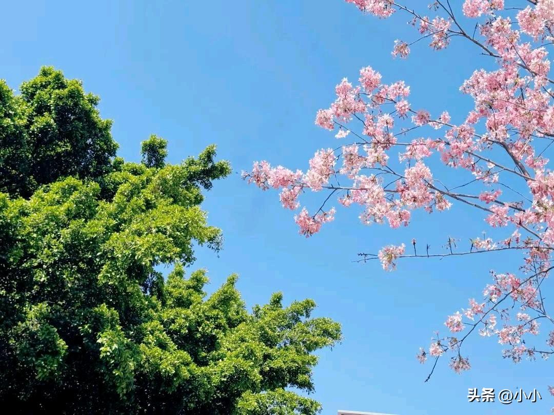 负债后才看清，原来大家都在硬撑，摆烂都不怕了。

不要嘲笑别人，在背后说坏话，说