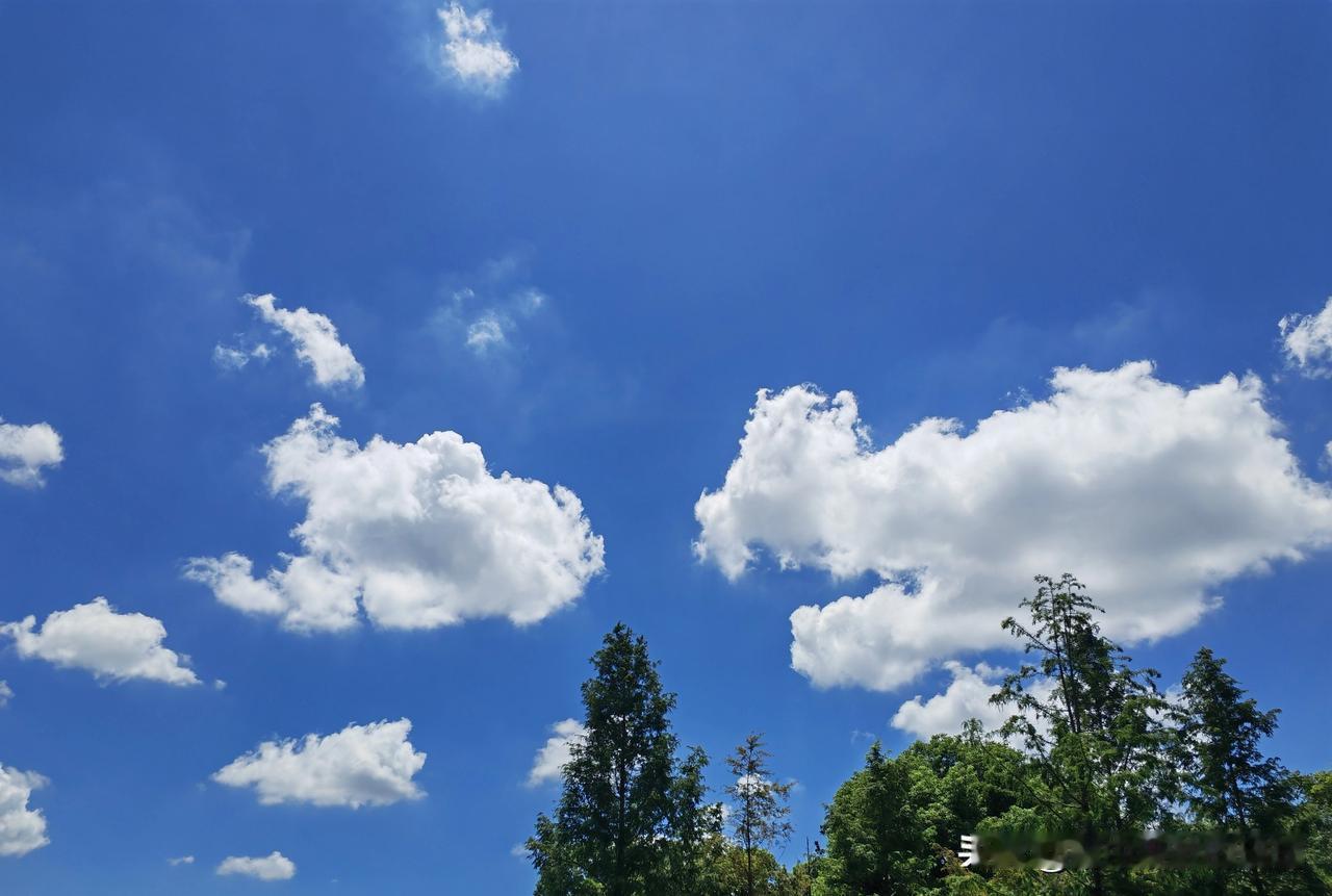 别怪现在人不讲义气，其实是“义气”早被现实重新算账了！
 
以前讲义气靠情分，现