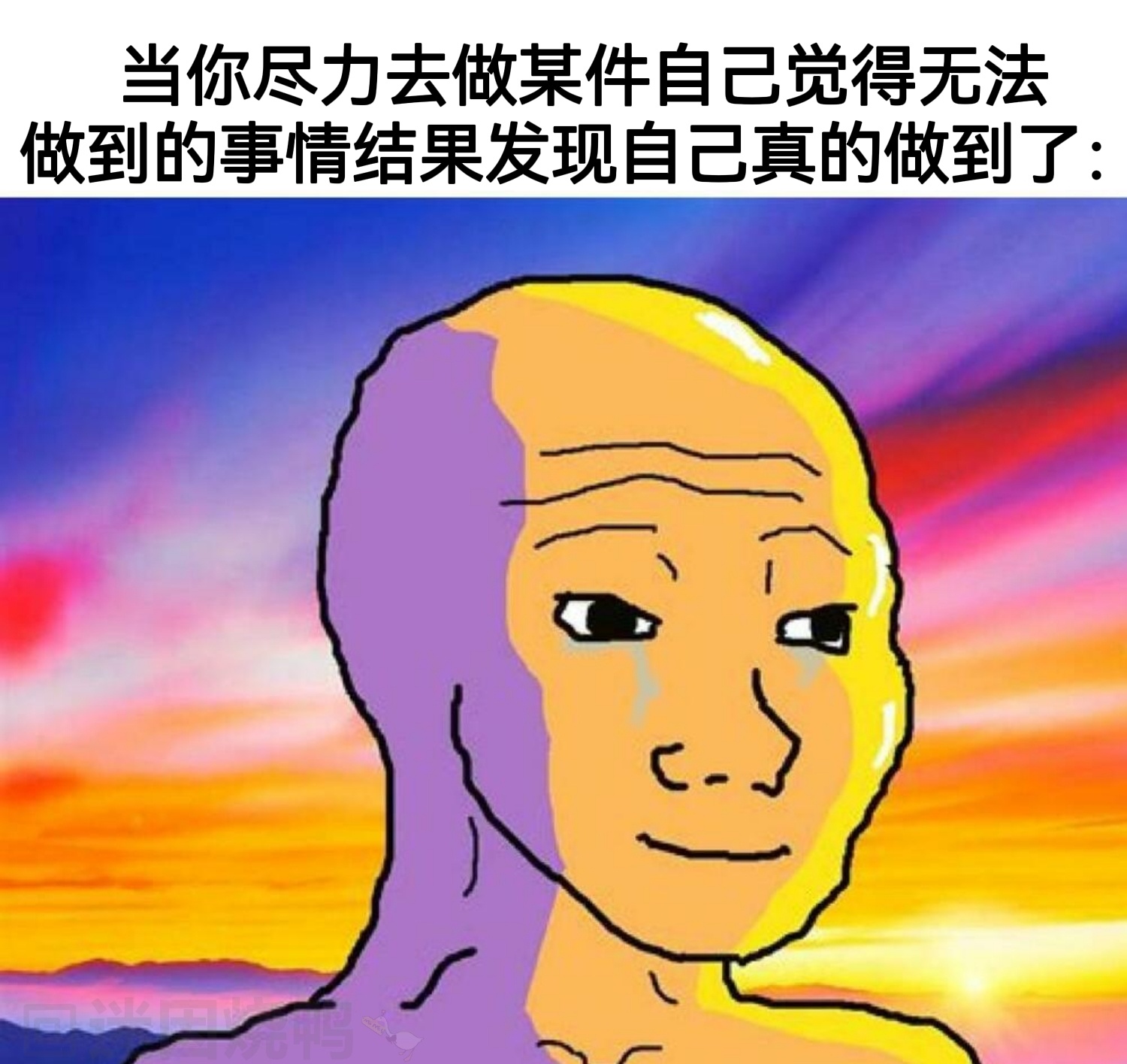 【大置顶】HI！欢迎来到meme后花园｜我会发的东西：『自制/译制/搬运/收集』