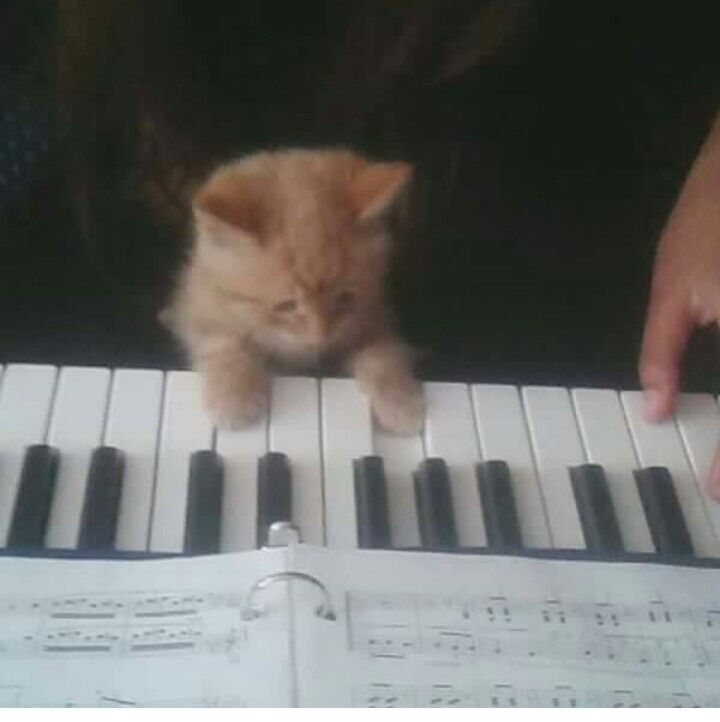 分享图片 ​​​