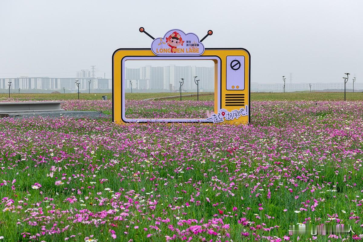 龙门湖·花岛诗画间
       在浙江省温岭市龙门湖的花岛区域，每一步都踏进自