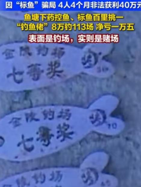 浙江温州，一个钓场，花680元，钓上一条标鱼，当场就能兑换1万元，男子花了8万，