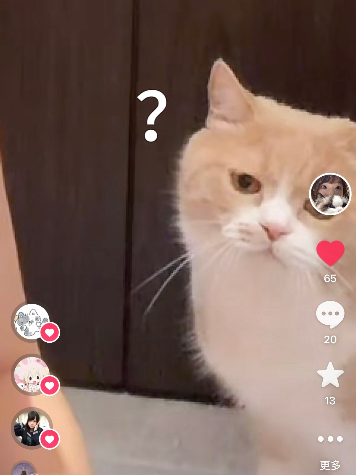 团团被我摸了一下就这样 对我很无语labubu： 