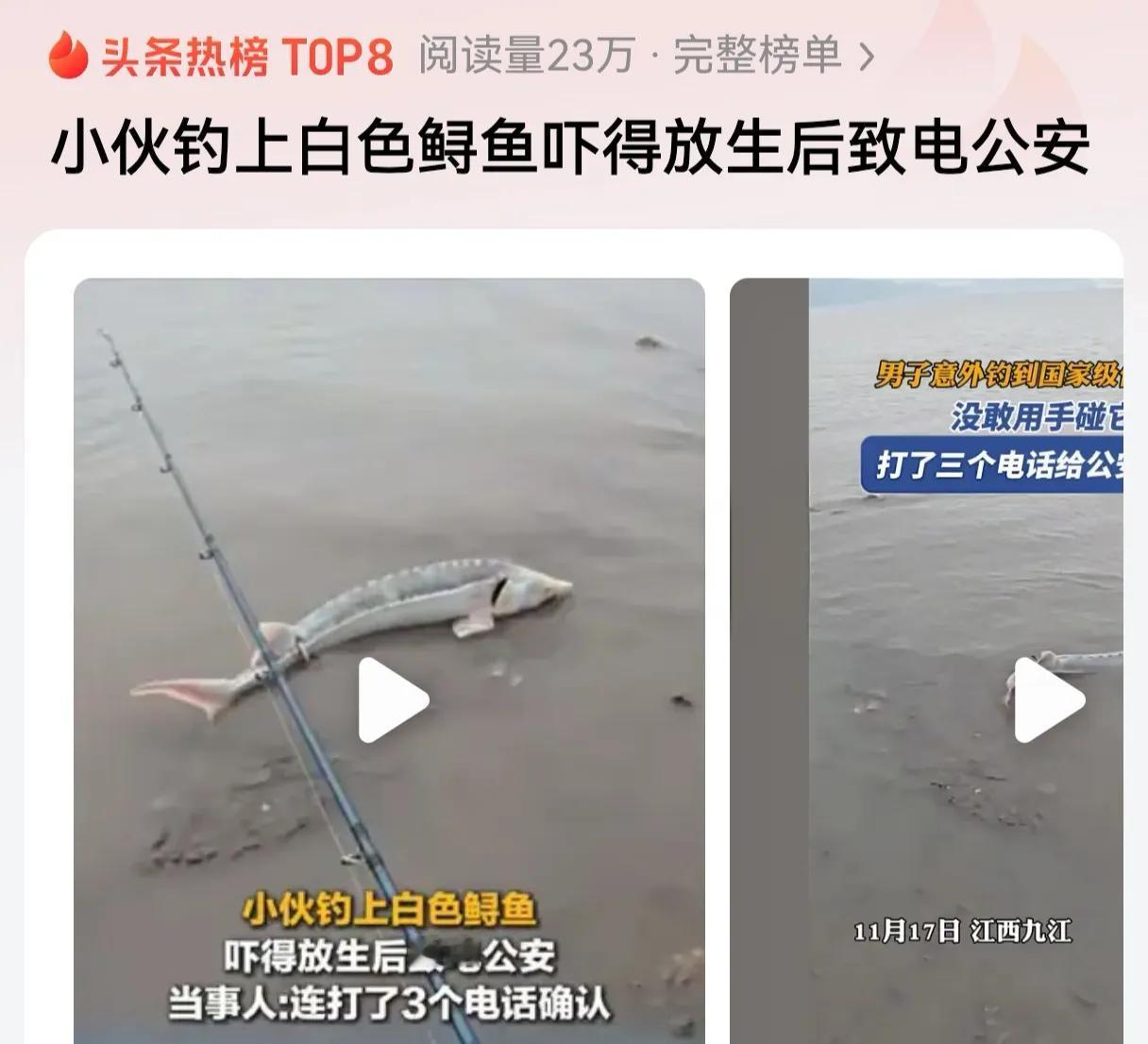 小伙你搞错了，不是你放生白色鲟鱼，而是白色鲟鱼放过了你，但凡白色鲟鱼出点状况，搞