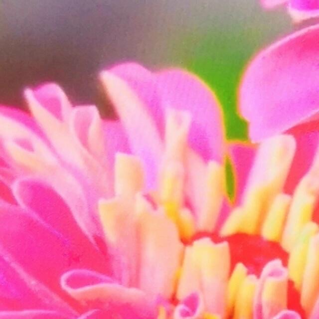 阳光信用  💫阳光信用  💫每日一善每一个清晨，记得告诉自己：没有奇迹，只有