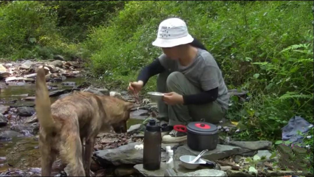 发现越来越多共情能力强的人，宁愿去心疼流浪猫狗，受伤鸟兽。也不愿去共情人类。
 