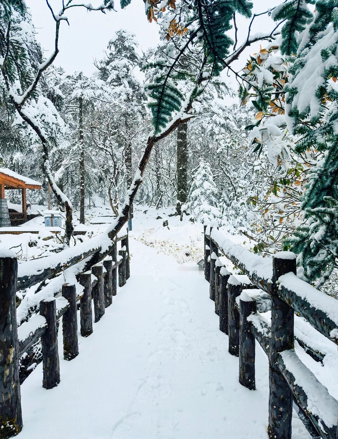 人少速冲！被螺髻山的初雪美到窒息❄️
一场雪，美了一座山
天地间一片圣洁
山川、