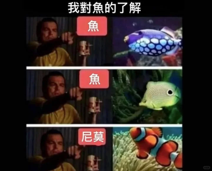 我对鱼的认知也是这样