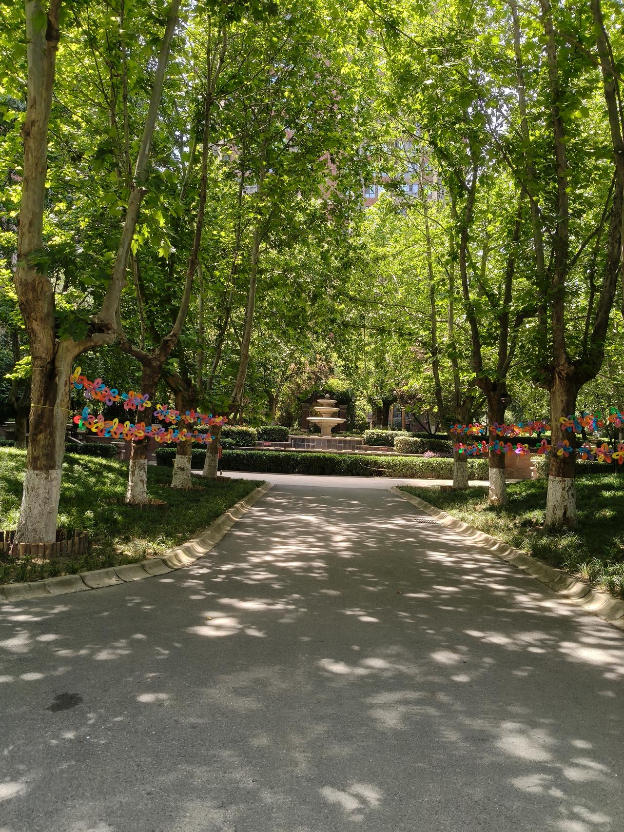 后来才慢慢懂得，能渡你走出泥沼的从来不是时间本身。时间只是静静摊开所有褶皱，让那