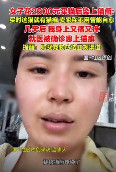 2600块买猫，我差点变“癞子”！

姐妹们，真不是我夸张，我这次差点被坑惨了！