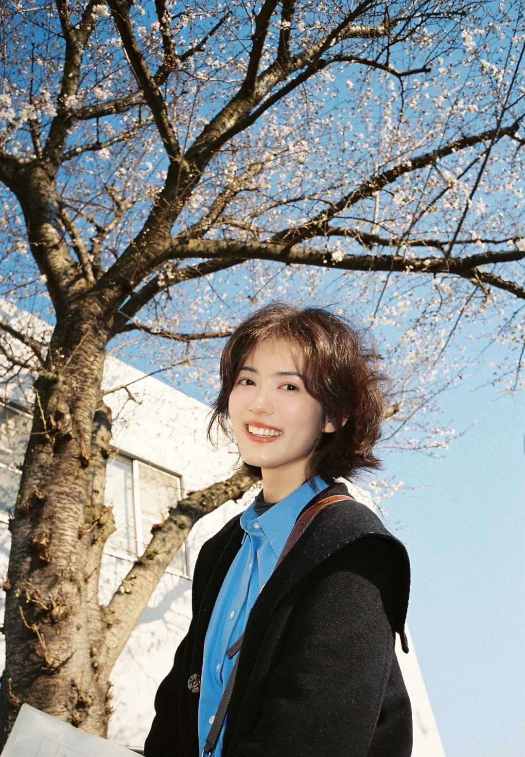 🌳去拿新签证的那一天 ˃◡˂