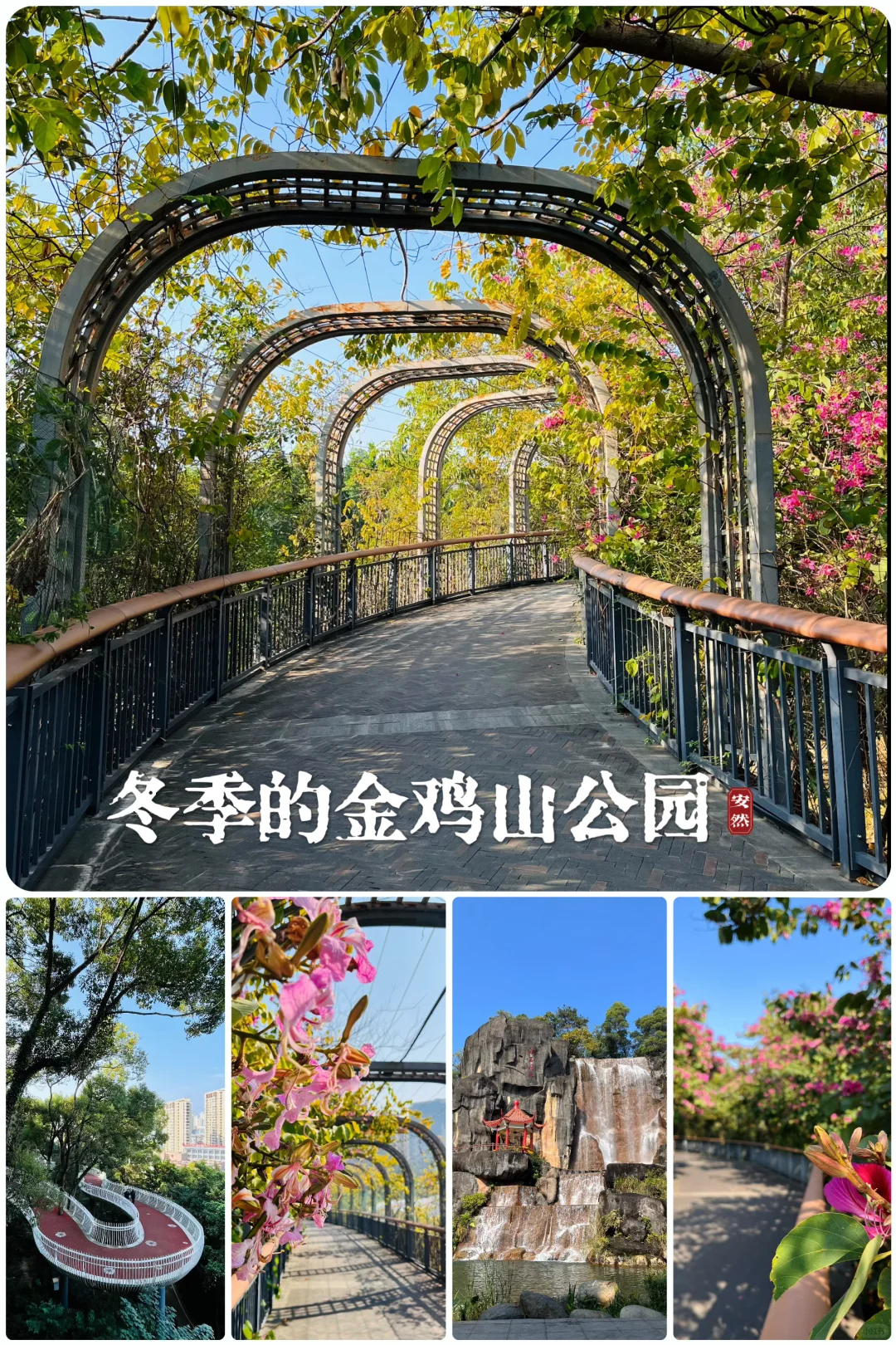 福州随拍|金鸡山公园，市区内的森林氧吧🍃