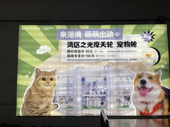 泰可爱啦！！！