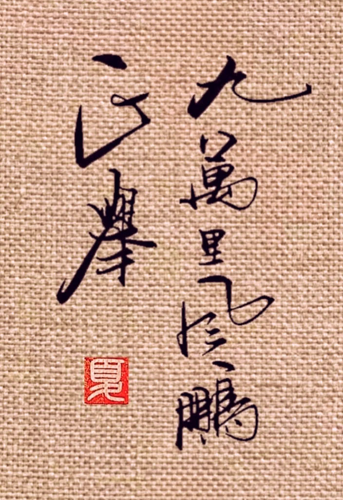 --民间雨荷手写硬笔，大气磅礴。