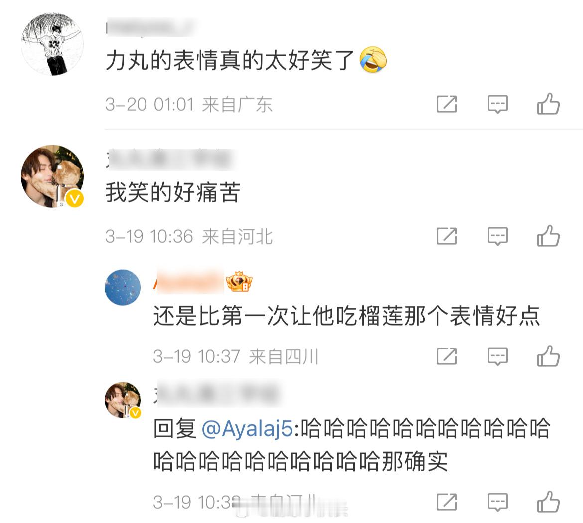 觉得压力大的来看看这几个导师 Boom、福桃、Krist，你们是来当导师的还是来