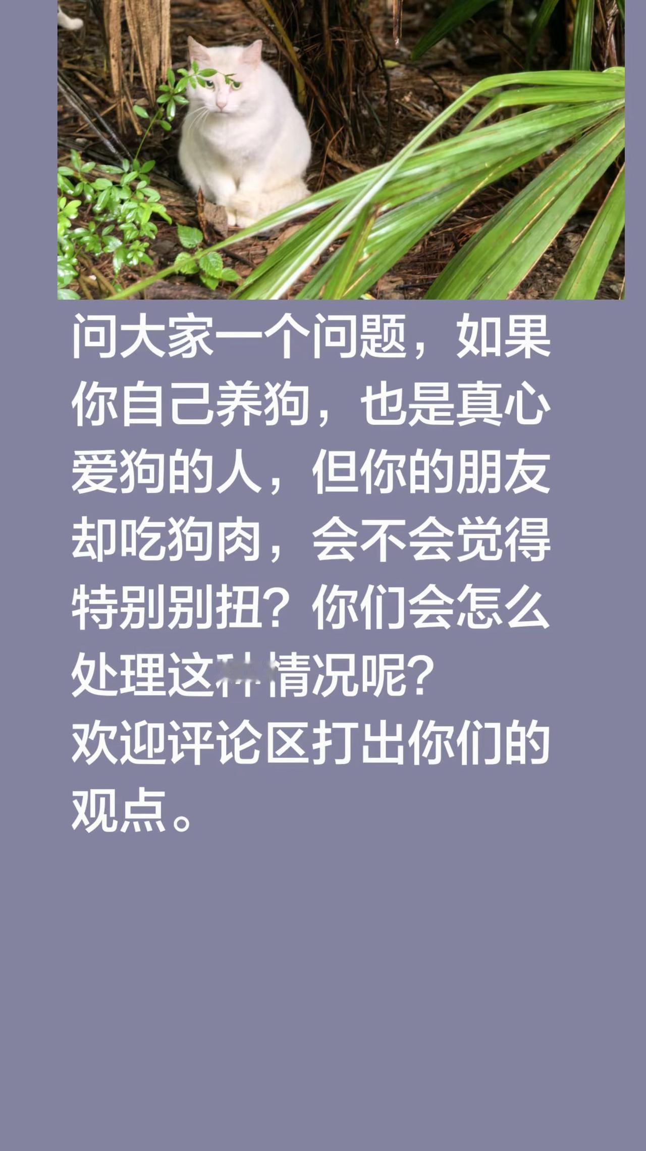 问大家一个问题，如果你自己养狗，也是真心爱狗的人，但你的朋友却吃狗肉，会不会觉得