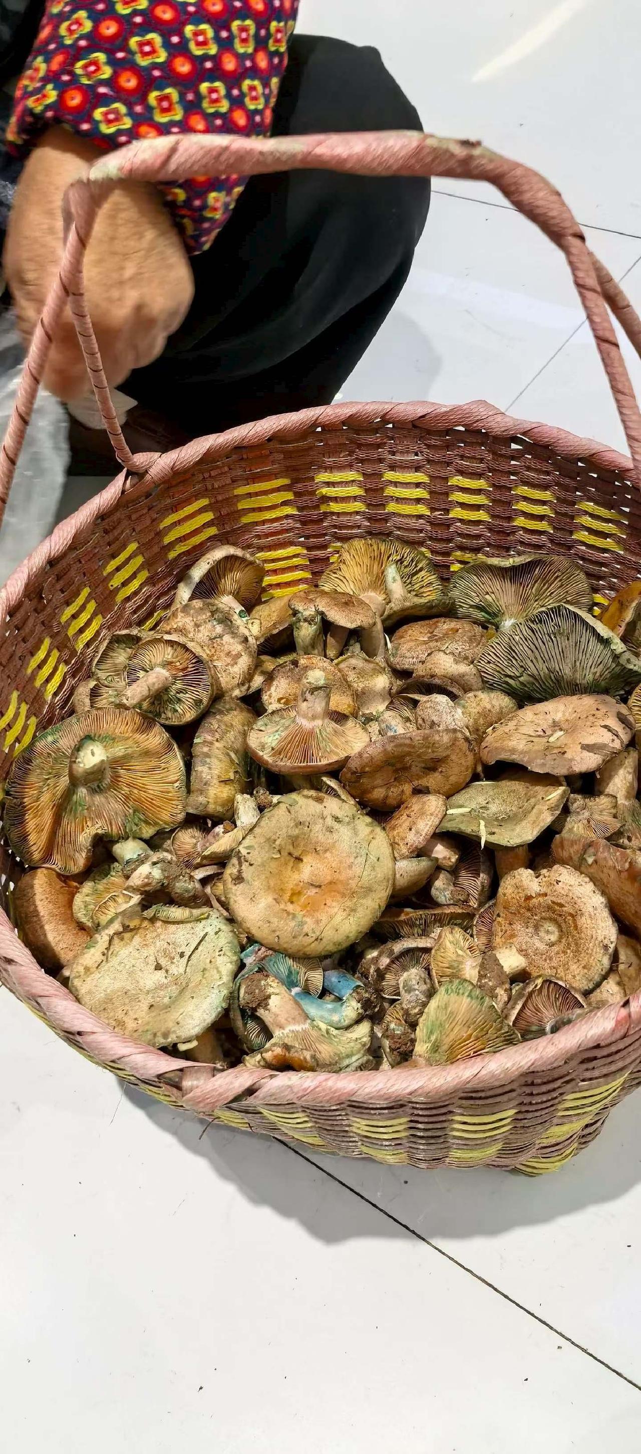 这种东西以前在乡下都能自己上山去捡，可现在这种山珍海味吃不到了，只能花高价从老太