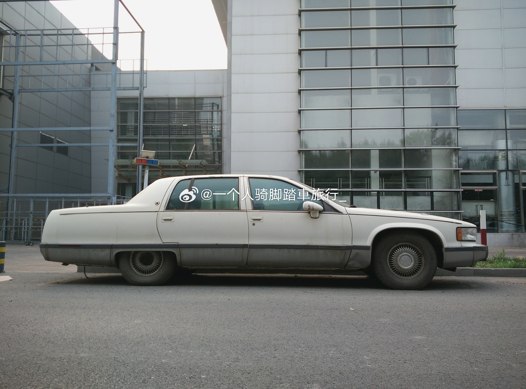 凯迪拉克伍德 廊坊