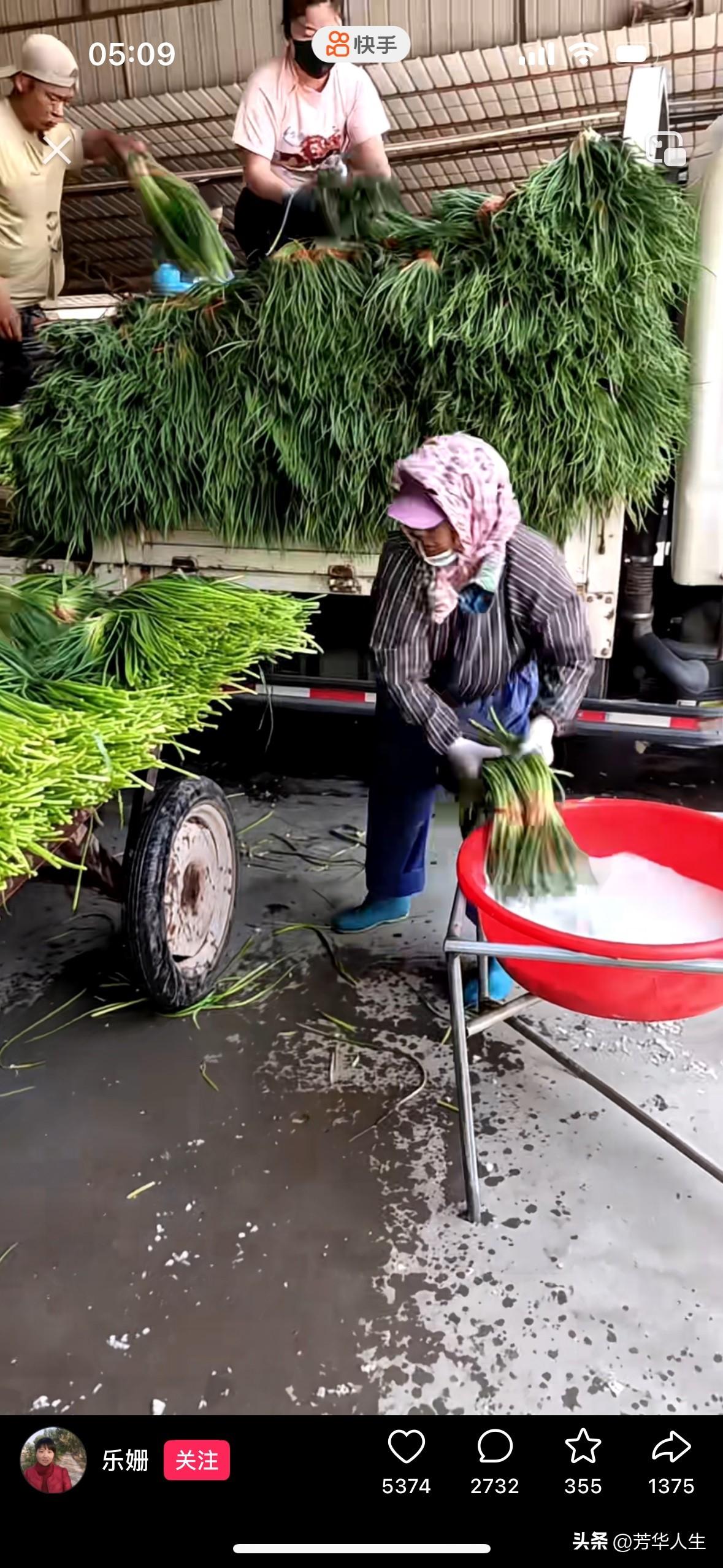 不懂就问，这个蒜苔商家这是什么操作，有谁懂，这是正常操作吗？