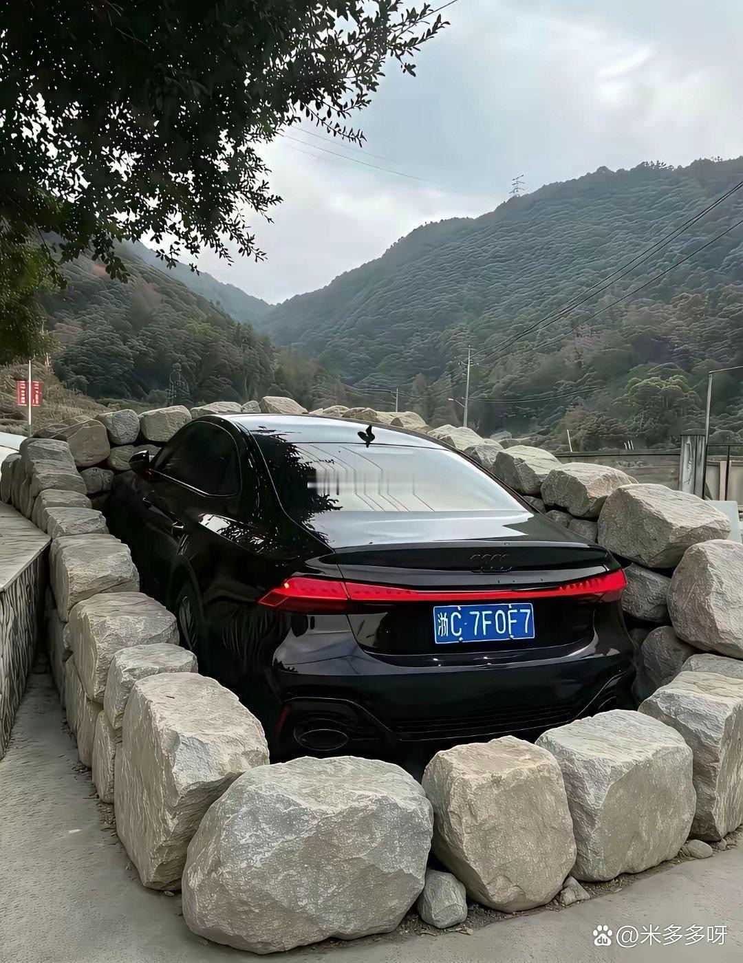 只要是底子厚实 根本无惧风雨 