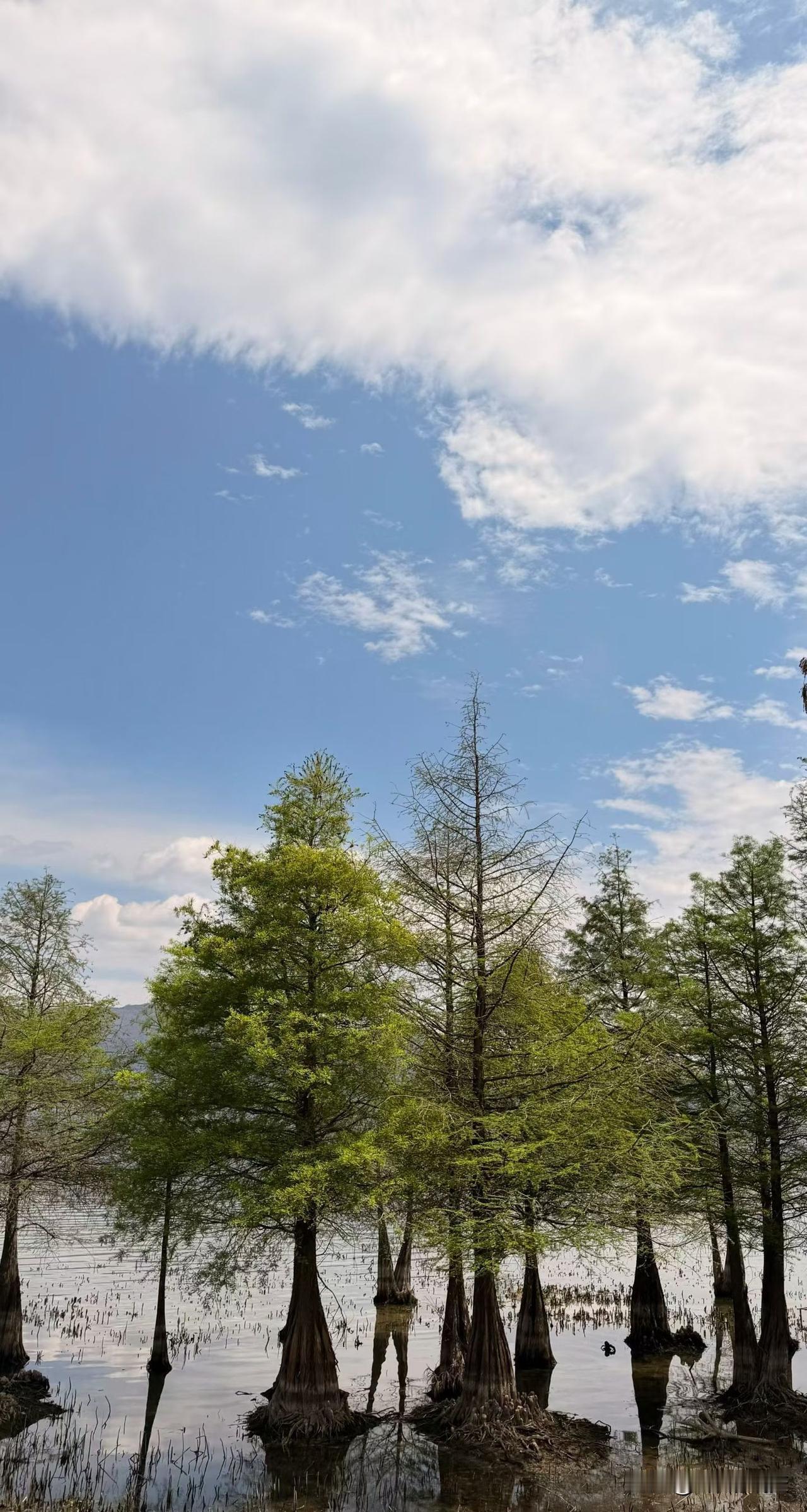 春日生活打卡季
