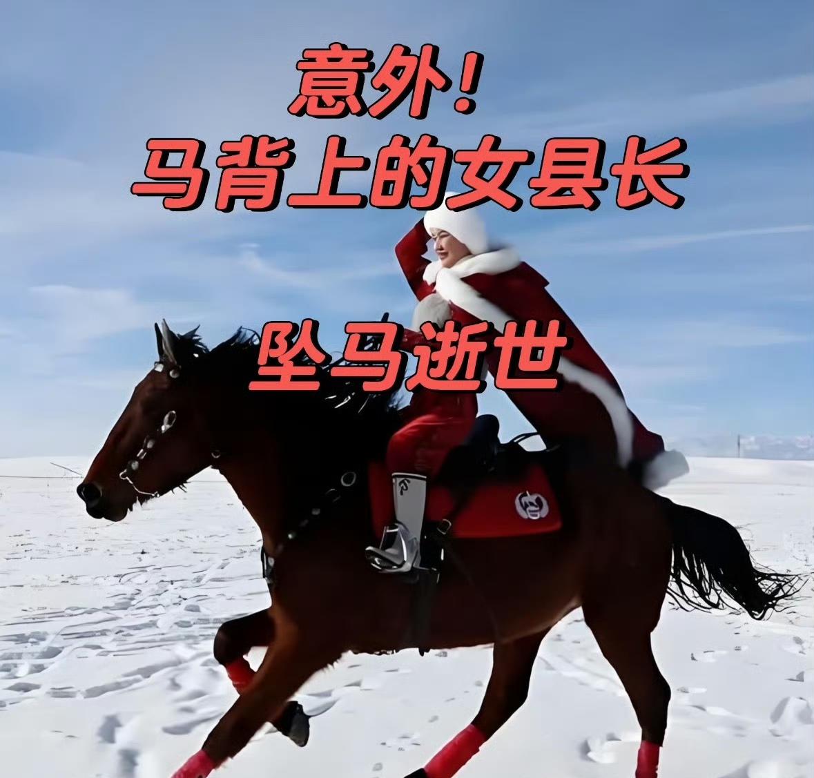 太震惊了！贺娇龙坠马去世！

万万没想到，贺娇龙突然离开了我们，怎么会这样？真是