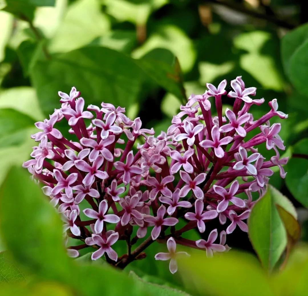 这段时间一直在忙着项目上的事，没能及时更新，对不起啊我的读者们。待忙完这一阵，我