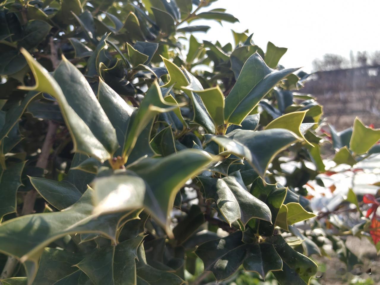 原来他的死早有预兆，只是他们家一味瞒着，根本不把他的想法当一回事。

发小聚会，