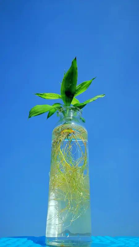 近期像一阵神秘小旋风般悄然风靡起来的“赛博玄学”，已经像一颗悄悄埋下的种子，深深