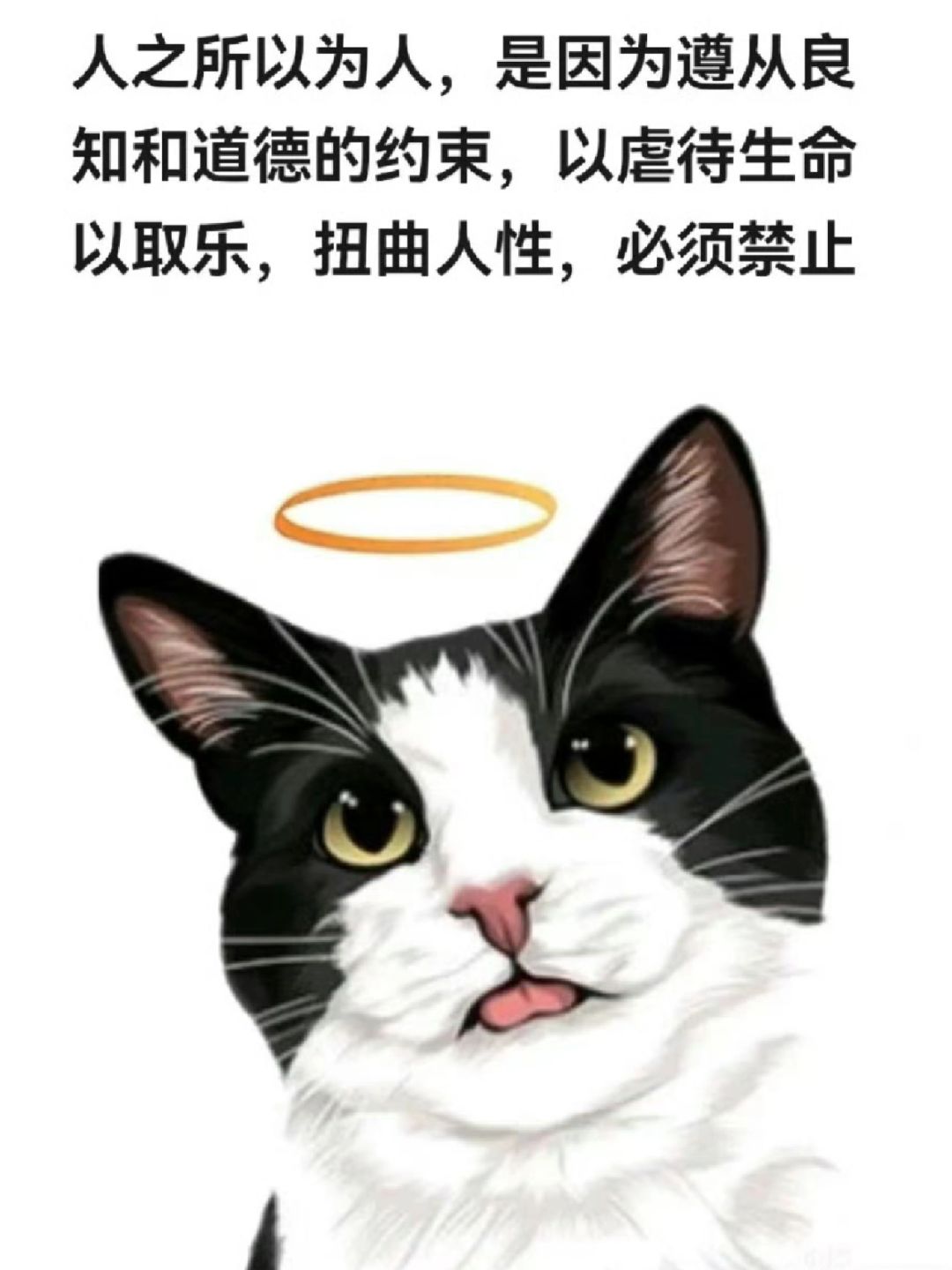 请给他们多一点善意～
