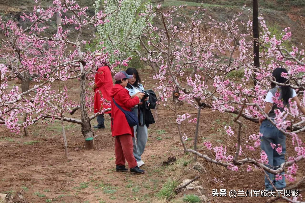 文旅融合添活力 服务提质聚人气
——兰州安宁区清明小长假文旅市场焕发新气象
  
