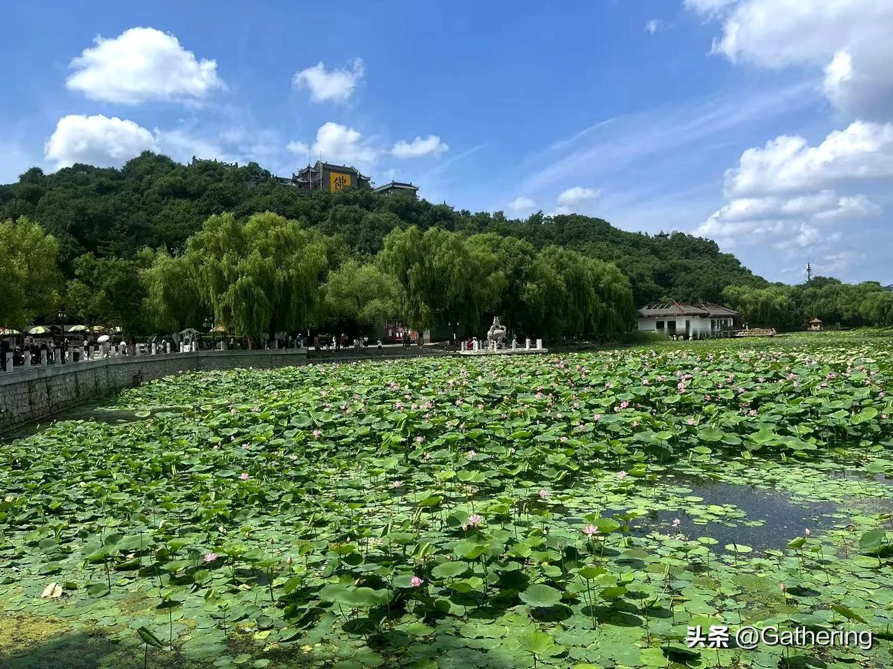 很多网友问我二手车该怎么去辨别的问题，其实我个人觉得如果你有条件找一个第3方，你